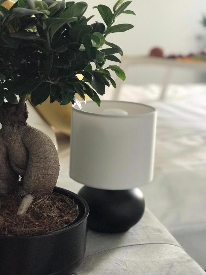 Pokoje Blisko Suntago 姆什乔努夫 外观 照片